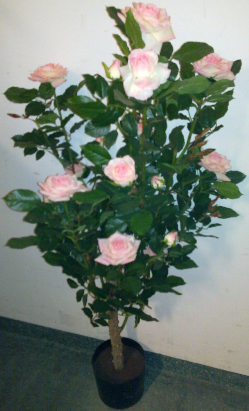 Rosbuske 120 cm med rosa rosor. Fint t.ex. vid dekorering av festlokal eller kyrka